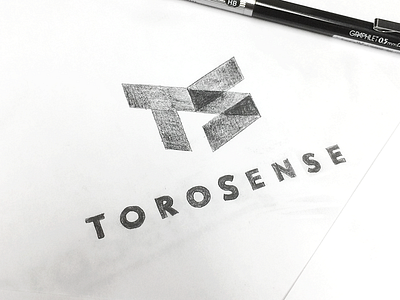 ToroSense Logo Sketch