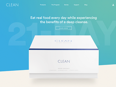 The Clean Program: Design Details 1
