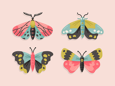 Moths freepik illustration moth