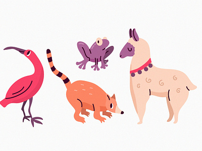 Amazon animal collection