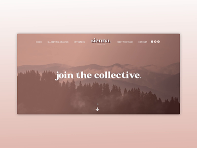 Sienna Collective Web Design branding cannabis design logo minimal typogaphy ui ux web website