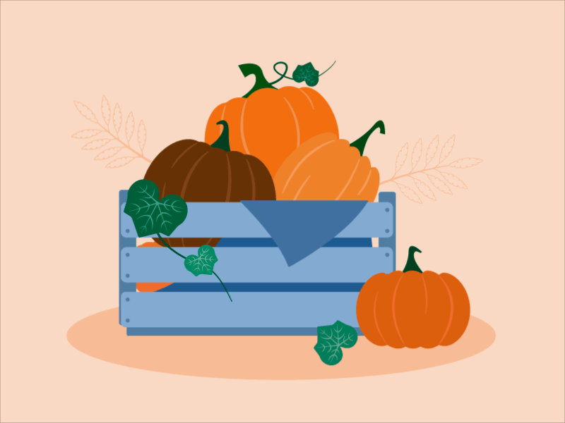 Pumpkins animated gif cartoon design flat graphic design illustration illustrator pumpkin vector web