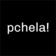 pchela! motion group