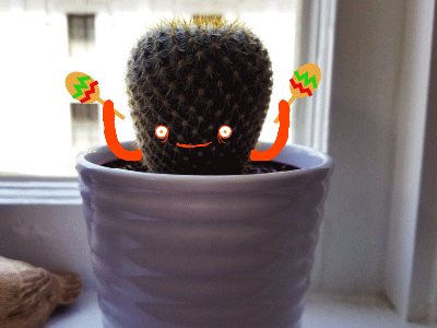 Tyrone the Cactus cactus