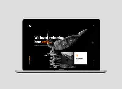 Turtles design ui web