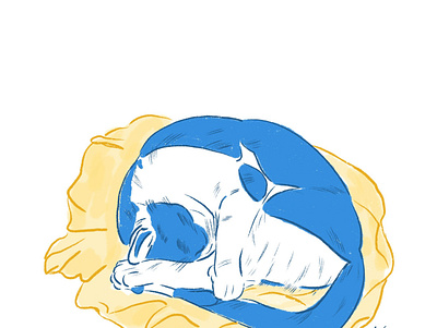 Cat Illustration illustration