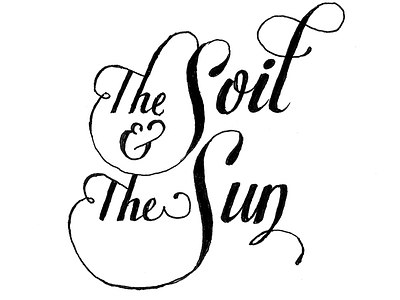 the Soil and the Sun, handmade cursive hand lettered hand lettering lettering script typography