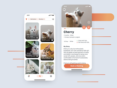 Pet Adoption App adopt adoption animal app cat design icon minimal mobile ui pet pets rescue ui ux