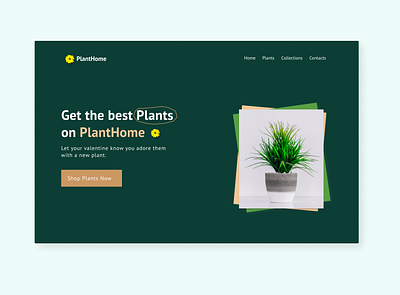 PlantHome animation dailyui design illustration minimal plant plantdesign typography uidesign ux webdesign website