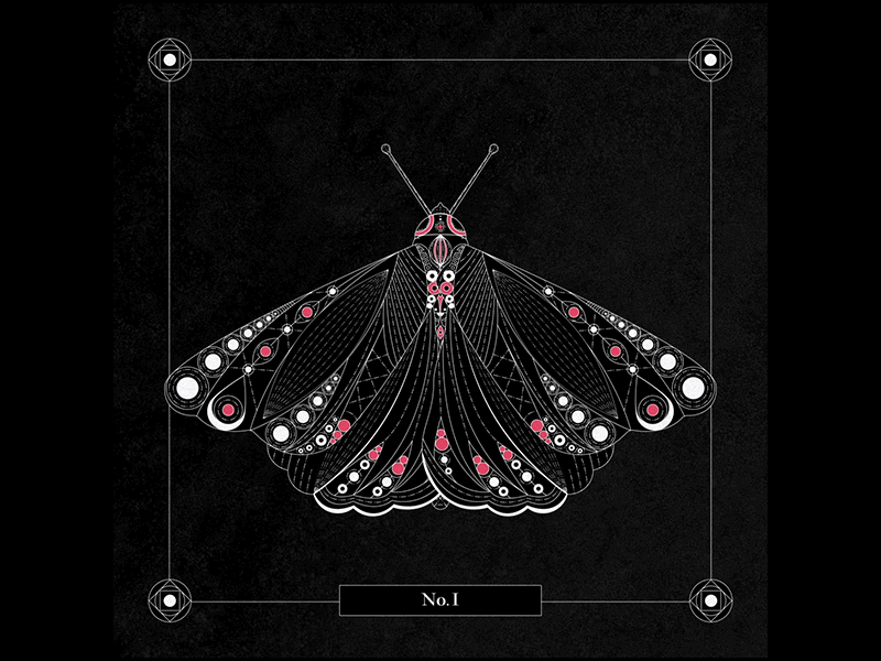 No.1 | Wings