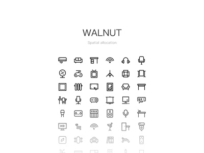 Walnut icon