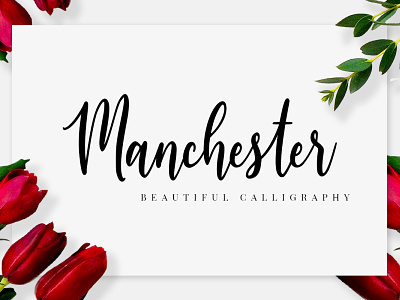 Manchester Script Font branding calligraphy invitation logo love lovely script sweet wedding