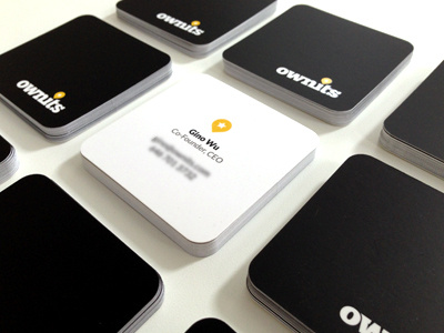 Ownits Print Collateral business cards print skateboarding snowboarding surf