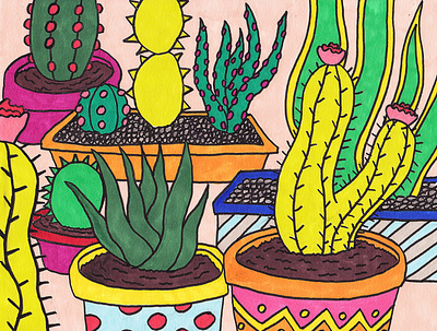 Cactus handrawing cactus color color palette drawing handrawing illustration marker pen plants prismacolor sketch