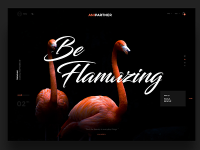 Flamingo Website falmingo homepage webdesign webdesign agency werbeagentur