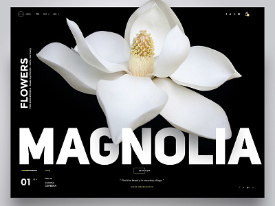 magnolia webdesign darkmode headerdesign landing page landing page concept magnolia slideshow uiux webdesign