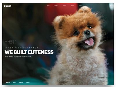 Cute modern Website