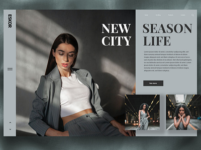 Fashion Website Design