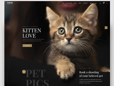 Kitten Love Website Design