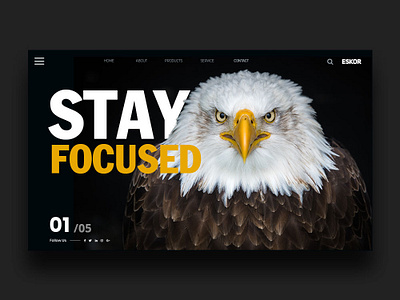 Stay Focused Landing Page eagle landing page landing page concept screendesign ui uiux webdesign webdesigner