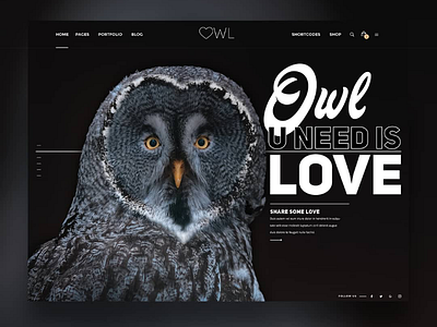 Owl you need is Love ❤️💘 😀 landing page bug headlines eule landing page landing page concept landingpage owl screenconcept screendesign typo uidesign uiux webdesign