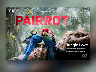 Pairrot - Landingpage header design heroimage landing page parrot parrots screendesign webdesign websitedesign websitedesigner