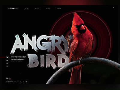 Angry Bird Landingpage angry bird bird graphicdesign landing page screendesign uidesign webdesign