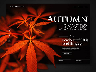 Autumn Leaves Landingpage autumn autumn colors black and red headerdesign landingpage slideshow ui ux webdesign