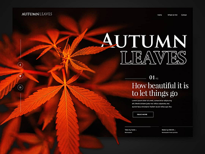 Autumn Leaves Landingpage