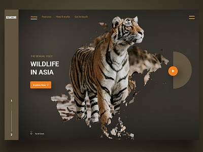 Wildlife in Asia Landingpage / Screendesign / Headerdesign asia tiger headerdesign landingpage screendesign tiger ui design ux design webdesign