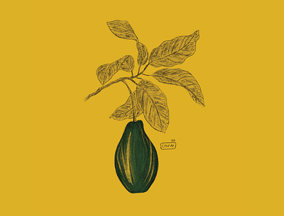 - Avocado color design illustration illustrator ipadpro pencil