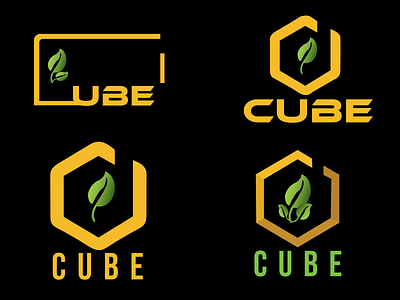 cube branding design graphic design logo typography