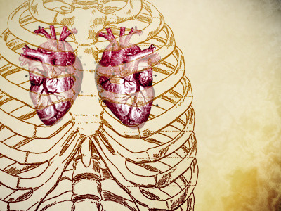 Regeneration is useless. doctor who hearts rib
