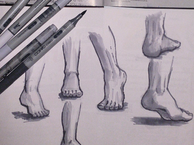 Foot anatomy practice