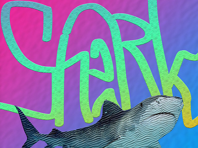 Shark art blue designer graffiti logo pink shark