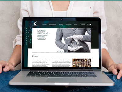 Web site design for "Aurora Cristal" company banner branding header home page site slider web design