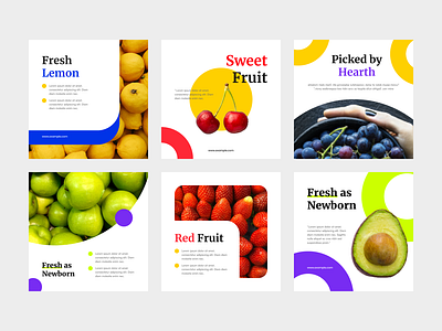 Set of fresh fruit square banner and social media post template abstract banner design food fruit marketing media post poster social template vector