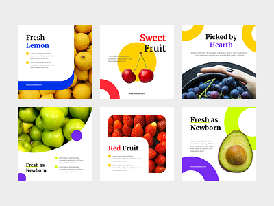 Set of fresh fruit square banner and social media post template