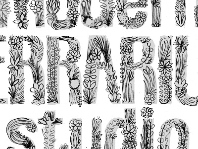 Modern Terrarium Studio type air plants hand lettering illustration pencil sketch succulents typography