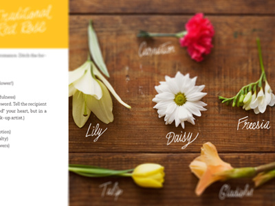 Happy Happy Love book flowers illustration layout photography typography