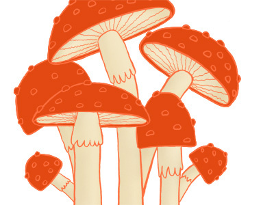 Mushrooms fungi illustration mushrooms red