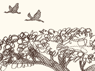 Kibo Group International annual report (detail) africa birds editorial illustration pencil texture tree