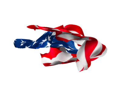 U S A