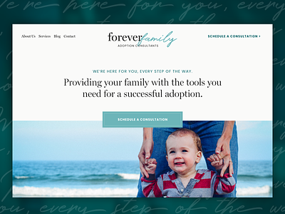 Adoption Consultants - Website Design design homepage homepage design logo minimal non-profit ux web website