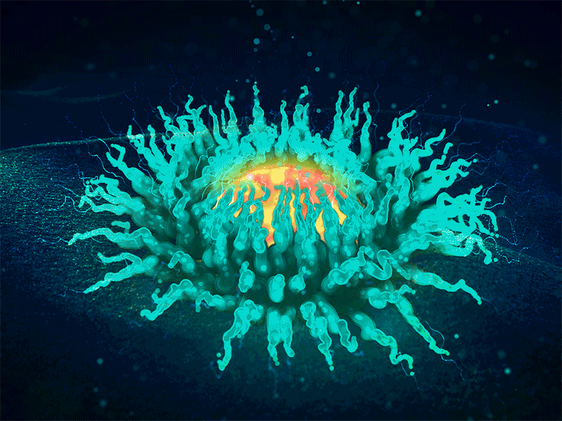 Sea anemone anemone glow in the dark ocean particular sea