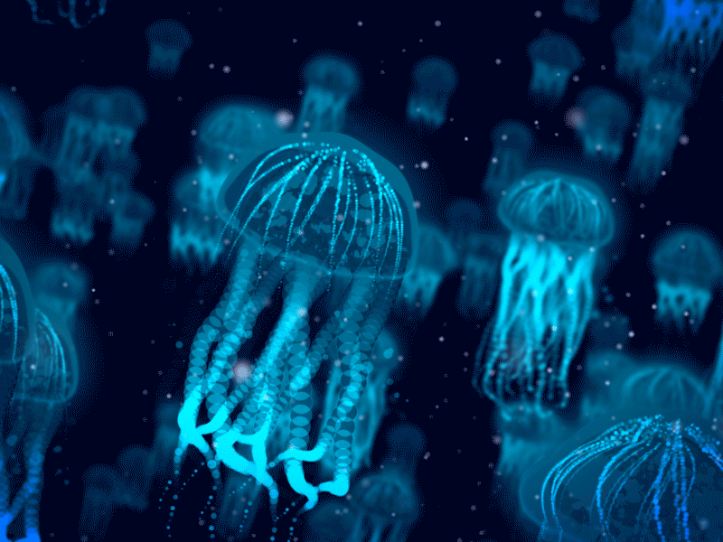 Jellyfish glow in the dark jellyfish ocean particles particular see