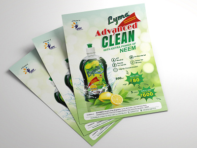 A5 Flyer Design branding brochure design business promotions flyer design graphic design illustration