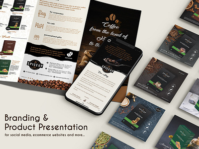 Tri-fold Brochure & Social Media Posts