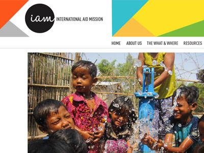 IAM Website in Process colors logo web design