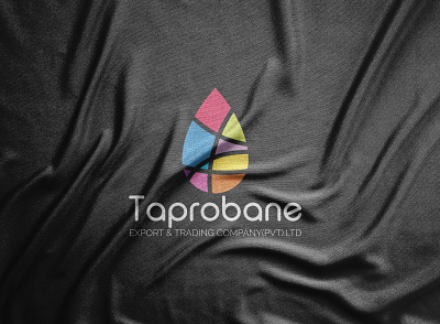 Taprobane logo design 2021 logo 2021 trend abstract circle elegant flat design geometric graphic design graphics logo designer logo mark logos logotype minimalism minimalist modern paper symbol vector art vector illustration